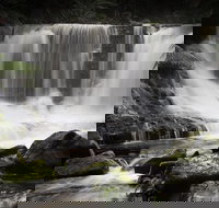 Mt Field National Park premium private photo-oriented day tour from Hobart - Events Australia