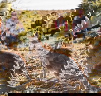 8-Day Tasman Wildlife and Wilderness Encounter Including Accommodation - Events Australia