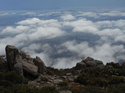 Cruise Ship Special Ex Hobart: Mt Wellington, Richmond, Bonorong With Free WiFi - Events Australia 15