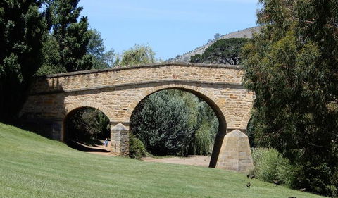 Cruise Ship Special Ex Hobart: Mt Wellington, Richmond, Bonorong With Free WiFi - Events Australia 9