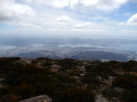 Cruise Ship Special Ex Hobart: Mt Wellington, Richmond, Bonorong With Free WiFi - Events Australia 10