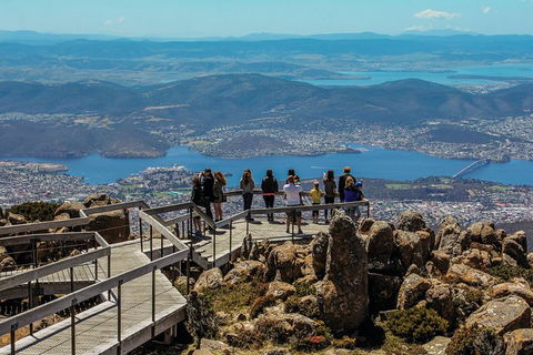 Cruise Ship Special Ex Hobart: Mt Wellington, Richmond, Bonorong With Free WiFi - Events Australia 23