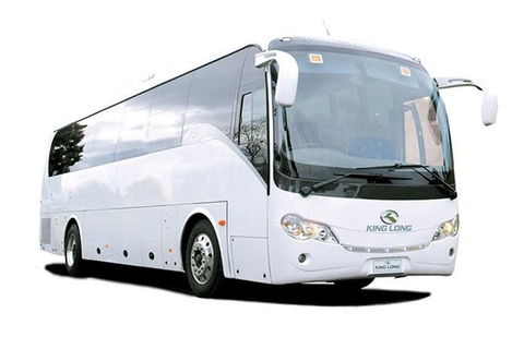 Cruise Ship Special Ex Hobart: Mt Wellington, Richmond, Bonorong With Free WiFi - Events Australia 19