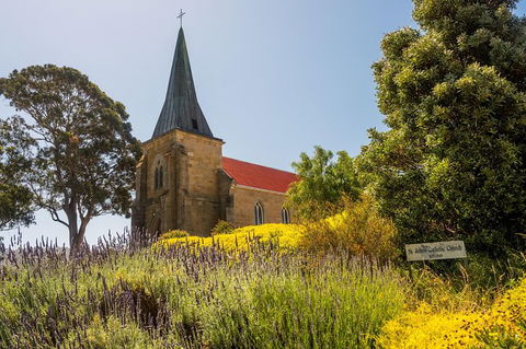 Cruise Ship Special Ex Hobart: Mt Wellington, Richmond, Bonorong With Free WiFi - Events Australia 18