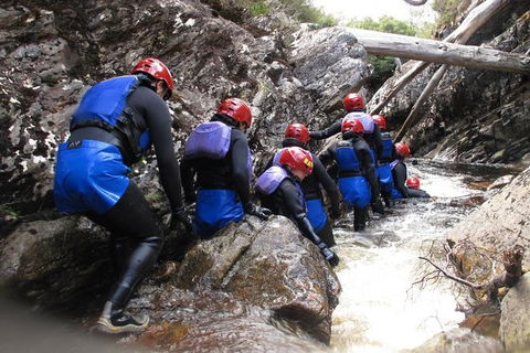 Half Day Cradle Mountain Canyoning: Lost World Canyon - Events Australia 1
