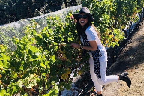 Valleys Of Vino Tour - Events Australia 1