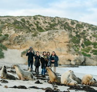 Small-Group Kangaroo Island 4WD Tour from Adelaide - Tourism Bookings