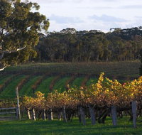 Barossa Valley with Hahndorf Tour from Adelaide - Tourism Bookings