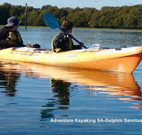 Adelaide Dolphin Sanctuary and Ships Graveyard Kayak Tour - Tourism Bookings