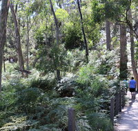 Self-Guided Waterfall Gully to Mount Lofty Hike from Adelaide - Tourism Bookings