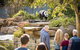 Adelaide Zoo Behind The Scenes Experience: Panda And Friends Tour - thumb 0