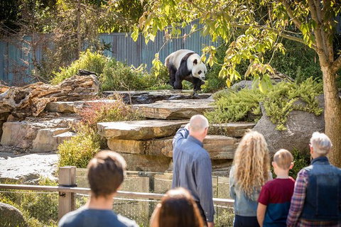 Adelaide Zoo Behind The Scenes Experience: Panda And Friends Tour - Events Australia 0