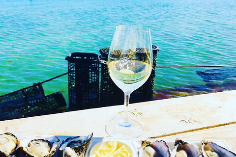 Coffin Bay Oyster Farm & Tasting Tour - Events Australia 11