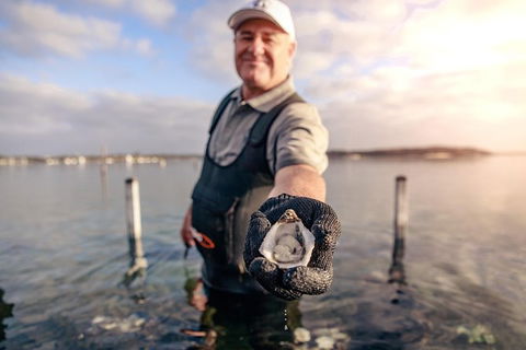 Coffin Bay Oyster Farm & Tasting Tour - Events Australia 3