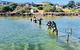 Coffin Bay Oyster Farm & Tasting Tour - thumb 6
