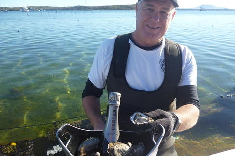 Coffin Bay Oyster Farm & Tasting Tour - Events Australia 2