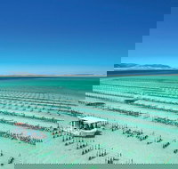 Coffin Bay Private Day Tour from Port Lincoln - A Taste of Coffin Bay - Events Australia