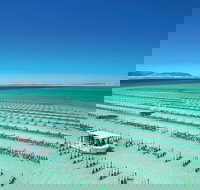 Coffin Bay Day Tour - A Taste of Coffin Bay - Events Australia