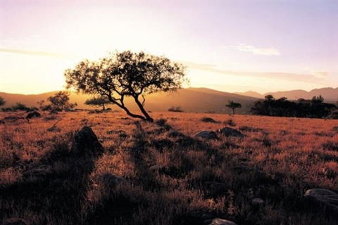 Adelaide To Coober Pedy 7 DAY SMALL GROUP 4WD SAFARI - Events Australia 0