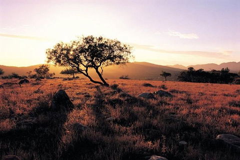 Adelaide To Coober Pedy 7 DAY SMALL GROUP 4WD SAFARI - Events Australia 4