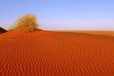 Adelaide To Coober Pedy 7 DAY SMALL GROUP 4WD SAFARI - Events Australia 3