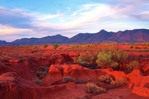 Adelaide To Coober Pedy 7 DAY SMALL GROUP 4WD SAFARI - Events Australia 7