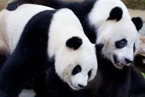 Adelaide City Tour With Optional River Cruise And Adelaide Zoo Admission - Events Australia 1