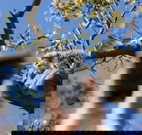 Exceptional Port Lincoln Seafood and Wildlife Tour - Tourism Bookings