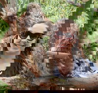 One Day Port Lincoln Tour - Tasting Eyre - Tourism Bookings