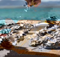 Experience Coffin Bay Short and Sweet Oyster Farm Tour - Tourism Bookings