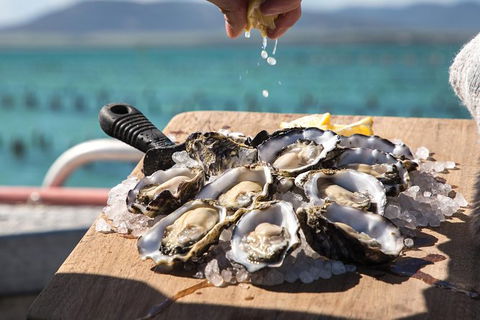 Experience Coffin Bay Short And Sweet Oyster Farm Tour - Events Australia 0