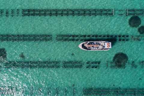 Experience Coffin Bay Short And Sweet Oyster Farm Tour - Events Australia 1