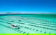 Experience Coffin Bay Short And Sweet Oyster Farm Tour - thumb 5