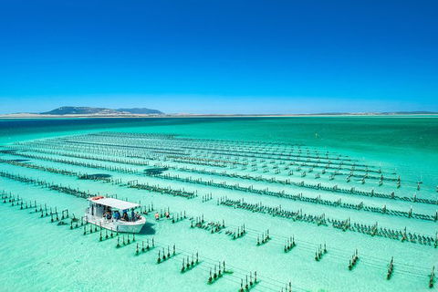 Experience Coffin Bay Short And Sweet Oyster Farm Tour - Events Australia 5