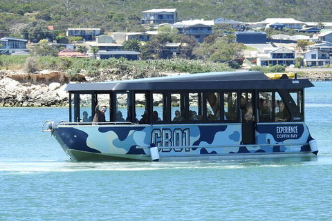 Experience Coffin Bay Short And Sweet Oyster Farm Tour - Events Australia 9
