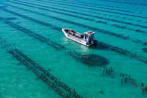 Experience Coffin Bay Short And Sweet Oyster Farm Tour - Events Australia 7