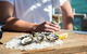 Experience Coffin Bay Short And Sweet Oyster Farm Tour - thumb 8
