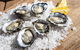 Experience Coffin Bay Short And Sweet Oyster Farm Tour - thumb 3
