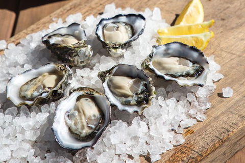 Experience Coffin Bay Short And Sweet Oyster Farm Tour - Events Australia 3