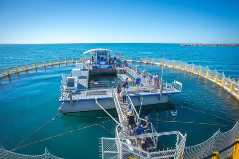 Island Discovery Package - Aquarium Swim & Seafood Tasting Platter - Events Australia 1