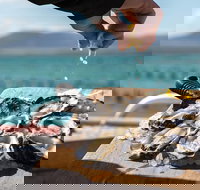 Experience Coffin Bay Oyster Farm and Bay Tour - Tourism Bookings