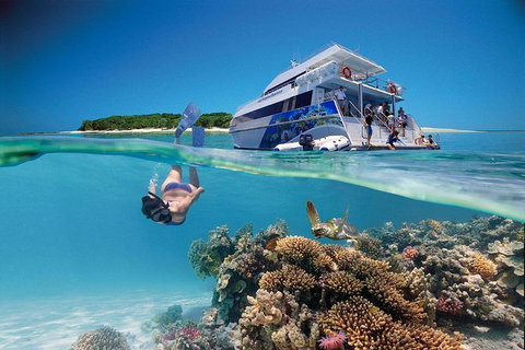 3-Day Southern Great Barrier Reef Tour Including Lady Musgrave Island - Events Australia 0
