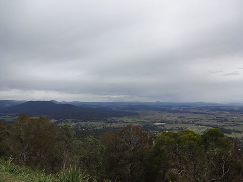 Springbrook AndTamborine Rainforest Tour Incl Natural Bridge And Glow Worm Cave - Events Australia 7
