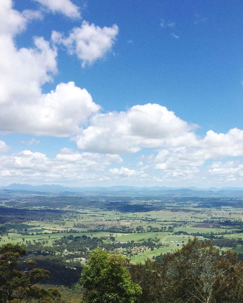 Springbrook AndTamborine Rainforest Tour Incl Natural Bridge And Glow Worm Cave - Events Australia 5