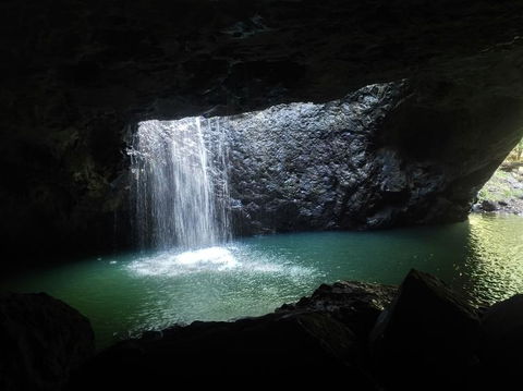 Springbrook AndTamborine Rainforest Tour Incl Natural Bridge And Glow Worm Cave - Events Australia 2