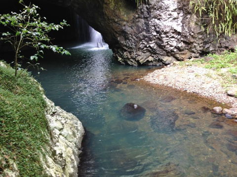 Springbrook AndTamborine Rainforest Tour Incl Natural Bridge And Glow Worm Cave - Events Australia 6
