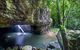 Springbrook AndTamborine Rainforest Tour Incl Natural Bridge And Glow Worm Cave - thumb 0
