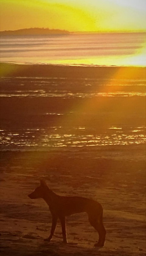 3-Day Fraser Island Resort Package - Tourism Bookings 3