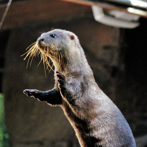 3-Day Fraser Island Resort Package - Tourism Bookings 4