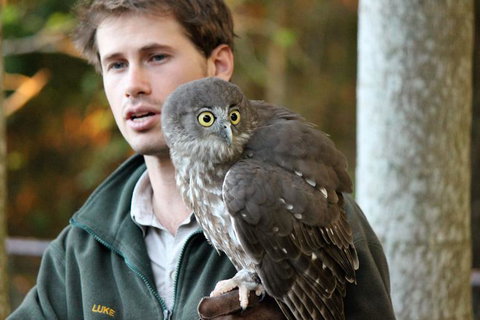 3-Day Fraser Island Resort Package - Tourism Bookings 5